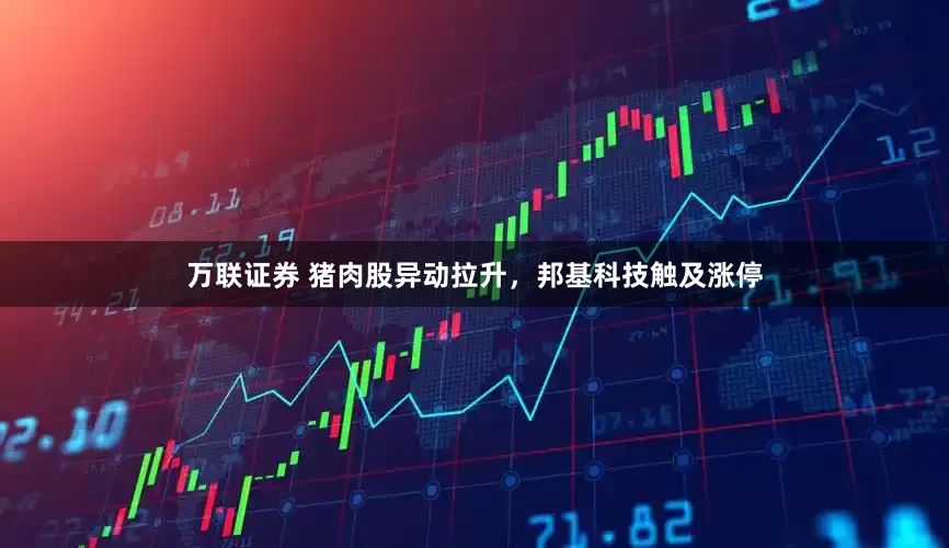 万联证券 猪肉股异动拉升，邦基科技触及涨停