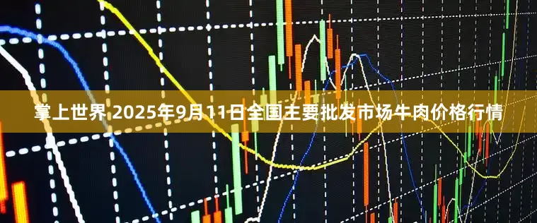 掌上世界 2025年9月11日全国主要批发市场牛肉价格行情
