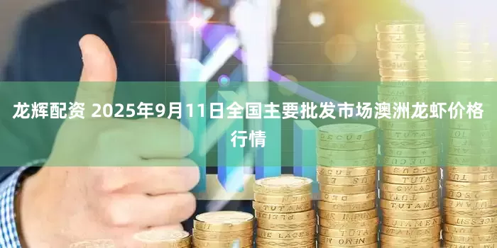 龙辉配资 2025年9月11日全国主要批发市场澳洲龙虾价格行情